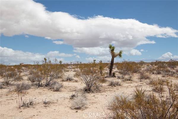 Joshua Tree, CA 92252,3000 Celeste