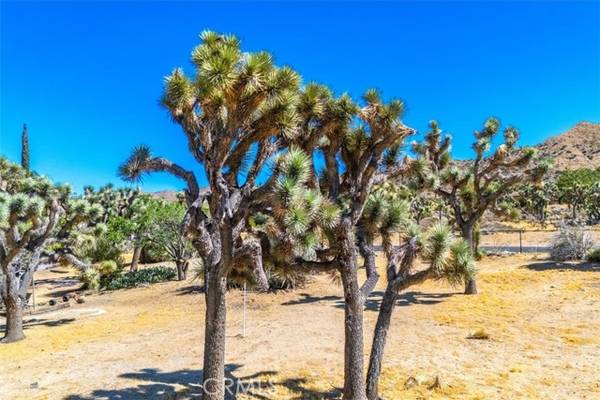 Yucca Valley, CA 92284,0 Hidden Gold