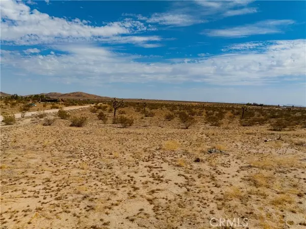 Joshua Tree, CA 92252,0 Sunny Vista and Granville