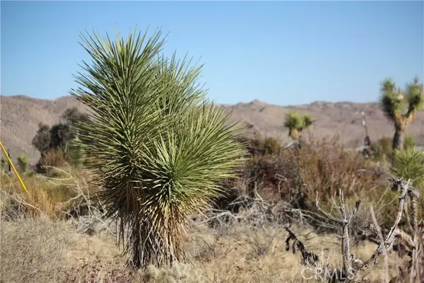 Yucca Valley, CA 92284,8435 Bannock