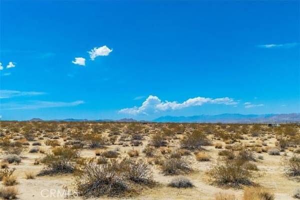 Joshua Tree, CA 92252,67181 29 Palms Hwy