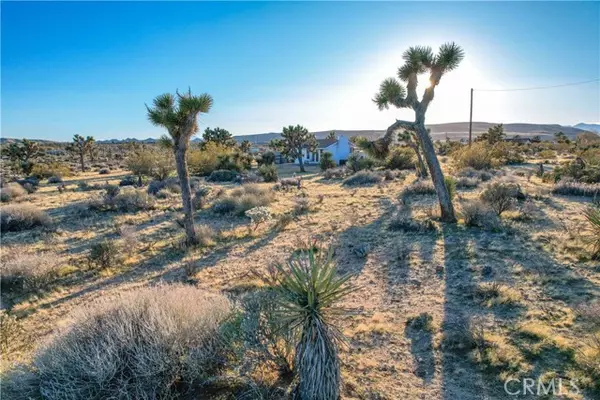 Yucca Valley, CA 92284,3567 Condalia Avenue