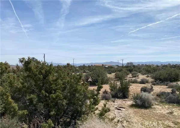 Yucca Valley, CA 92284,56479 Duarte