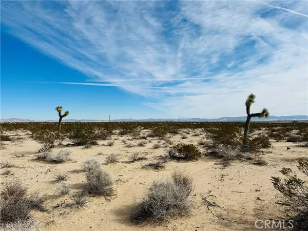 1234 Desert Lily, Joshua Tree, CA 92252