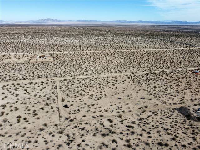 Joshua Tree, CA 92252,1234 Desert Lily