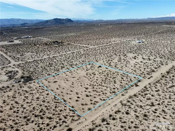 Joshua Tree, CA 92252,1234 Desert Lily