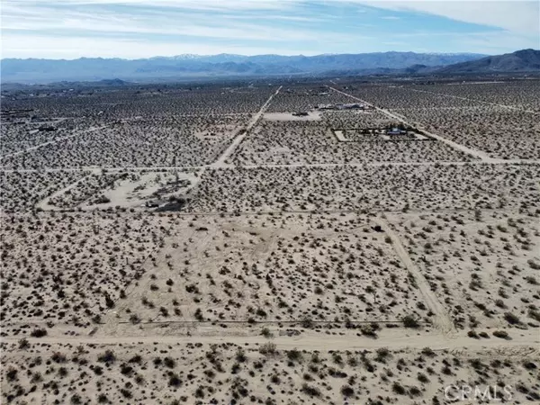 Joshua Tree, CA 92252,1234 Desert Lily