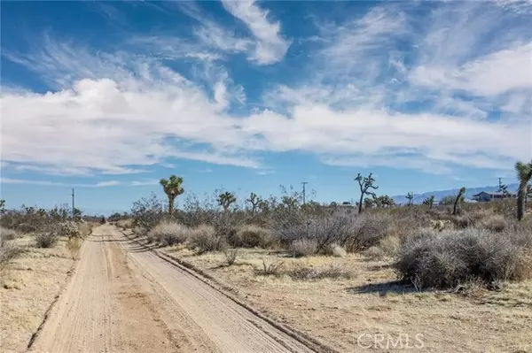 Yucca Valley, CA 92284,59571 La Crescenta