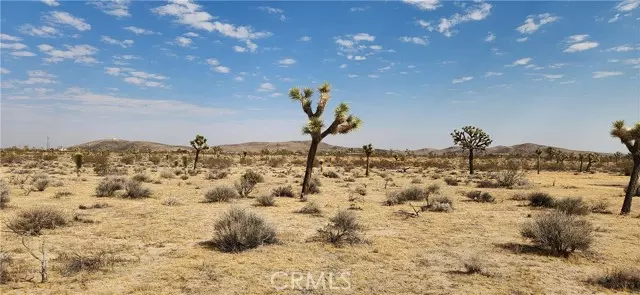 60220 Drexel, Joshua Tree, CA 92252