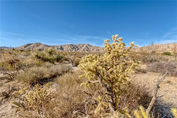 Morongo Valley, CA 92256,321 Pioneer