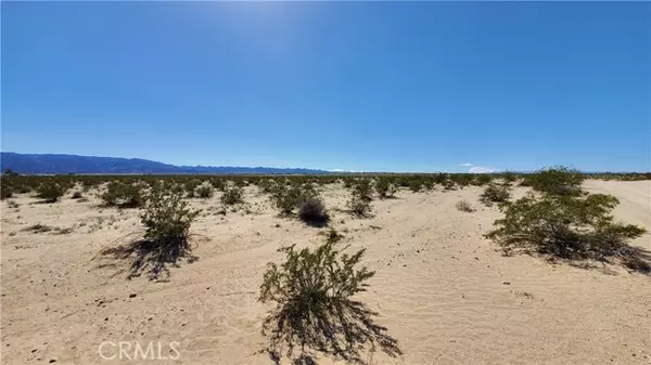 29 Palms, CA 92277,0 Taylor