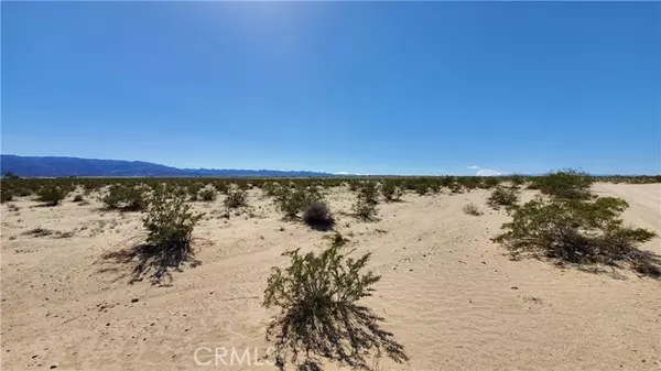 29 Palms, CA 92277,0 Taylor