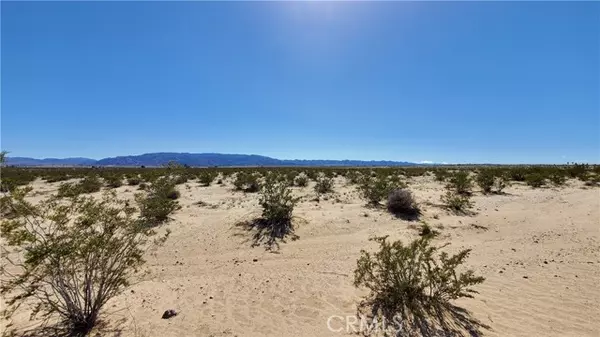 29 Palms, CA 92277,0 Taylor