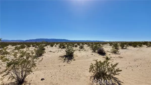 29 Palms, CA 92277,0 Taylor