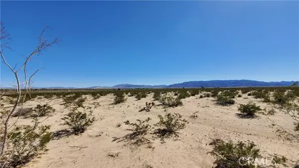 29 Palms, CA 92277,0 Taylor