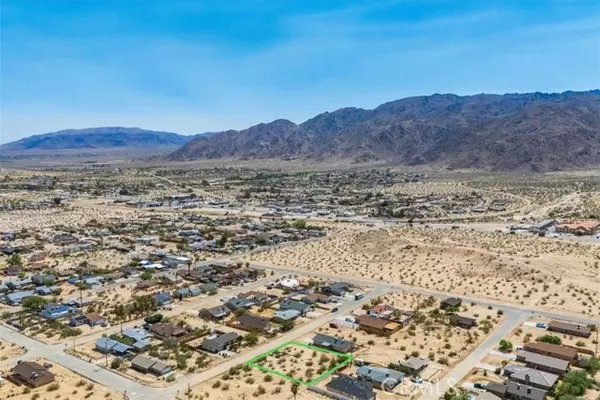 29 Palms, CA 92277,6248 Baileya