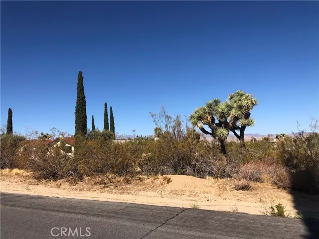 58310 Lisbon, Yucca Valley, CA 92284