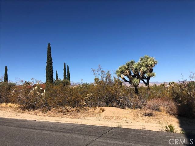 58310 Lisbon, Yucca Valley, CA 92284