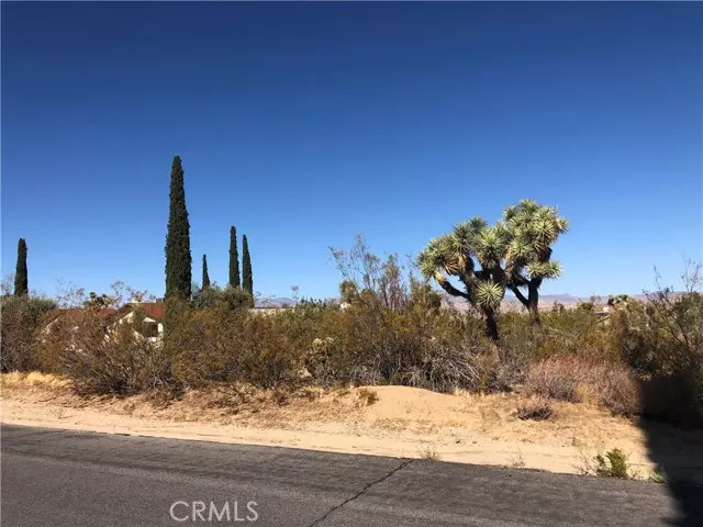 Yucca Valley, CA 92284,58310 Lisbon