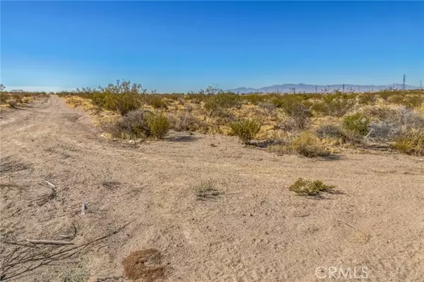 Victorville, CA 92394,0 Amethyst