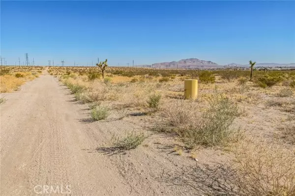 Victorville, CA 92394,0 Amethyst