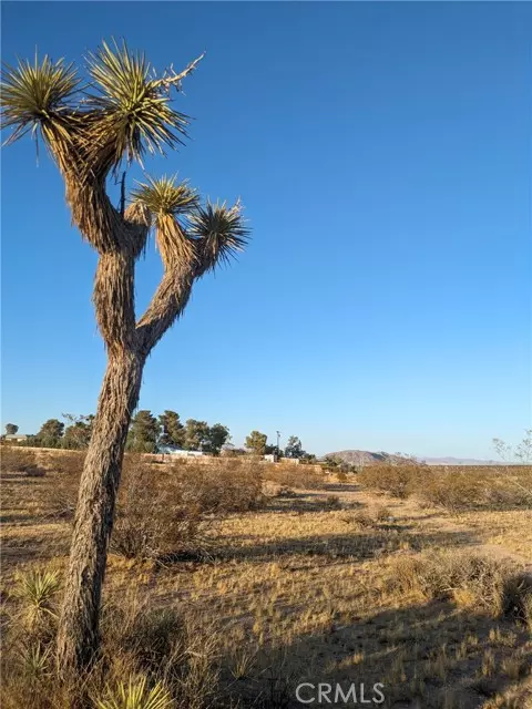 Yucca Valley, CA 92284,561 Delgada