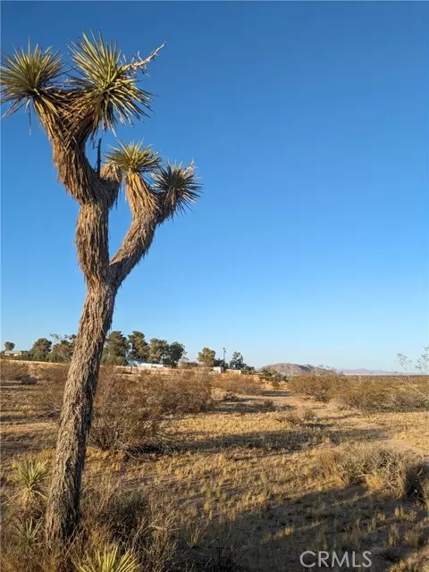 Yucca Valley, CA 92284,561 Delgada