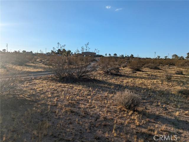 Yucca Valley, CA 92284,539 Delgada