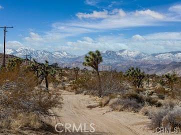 Joshua Tree, CA 92252,0 Melton