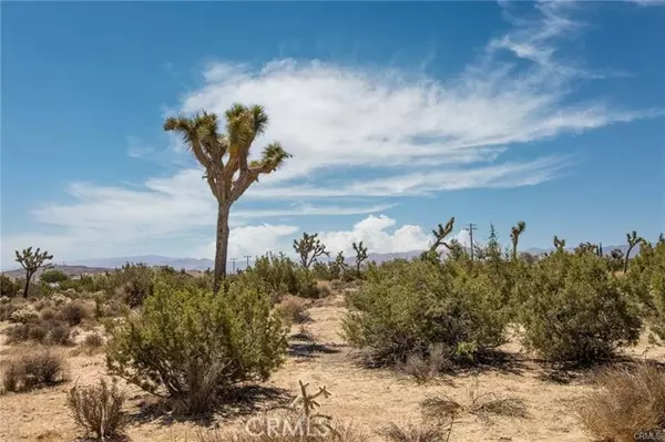 Yucca Valley, CA 92284,999 Grand