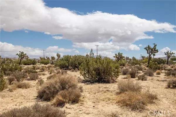 Yucca Valley, CA 92284,999 Grand