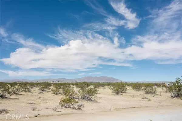 Joshua Tree, CA 92252,63726 Chollita