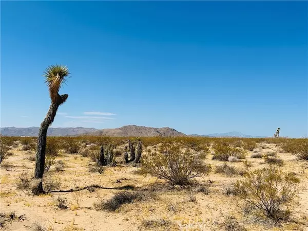 Joshua Tree, CA 92252,5 Sunset