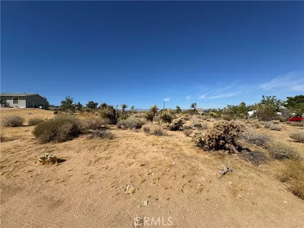 Joshua Tree, CA 92252,7218 Juniper