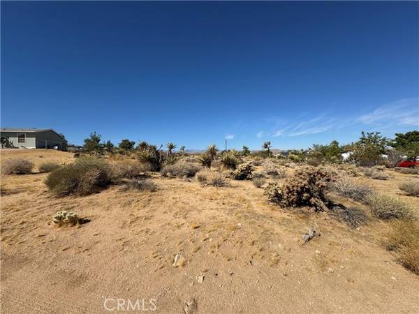 Joshua Tree, CA 92252,7218 Juniper