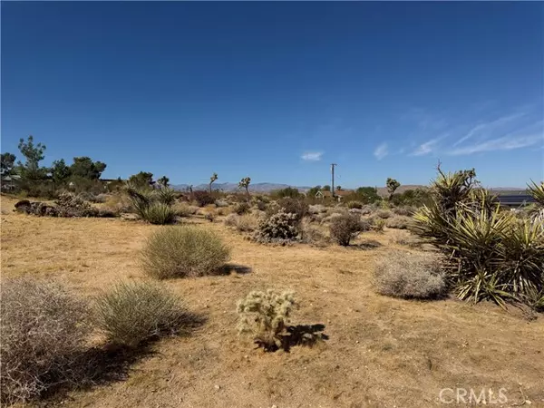 Joshua Tree, CA 92252,7218 Juniper