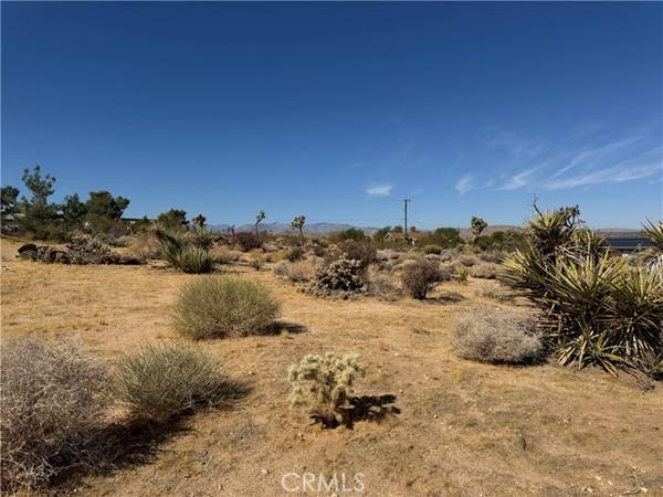 Joshua Tree, CA 92252,7218 Juniper