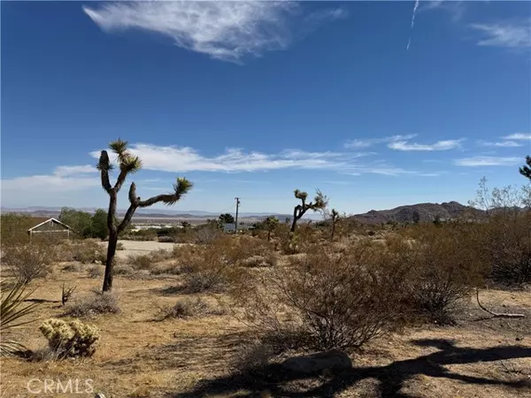 Joshua Tree, CA 92252,7217 Sunny Vista