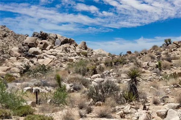 Joshua Tree, CA 92252,60300 Mountain