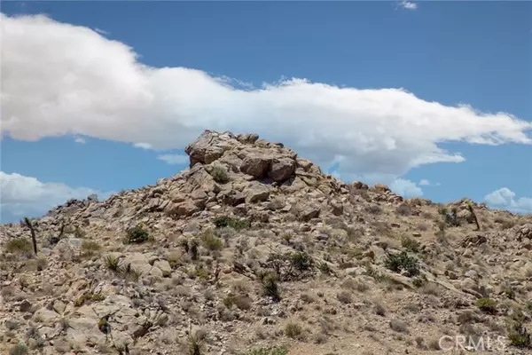 Joshua Tree, CA 92252,60300 Mountain