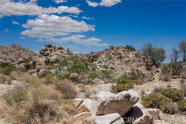 Joshua Tree, CA 92252,60300 Mountain