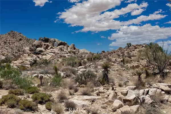 Joshua Tree, CA 92252,60300 Mountain