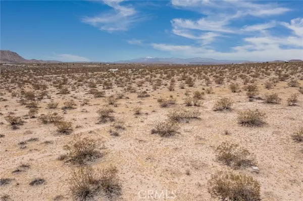 Joshua Tree, CA 92252,2830 Bonair