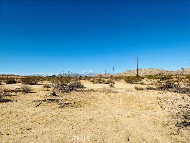 Joshua Tree, CA 92252,5 Border