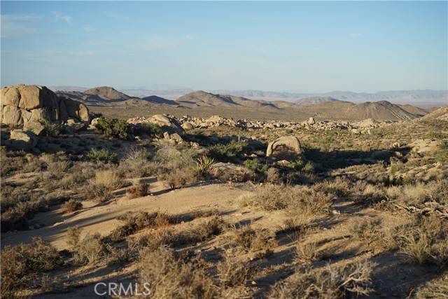 Pioneertown, CA 92268,52588 Blackbrush