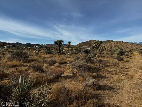 Yucca Valley, CA 92284,0 Plute