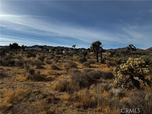 Yucca Valley, CA 92284,0 Plute