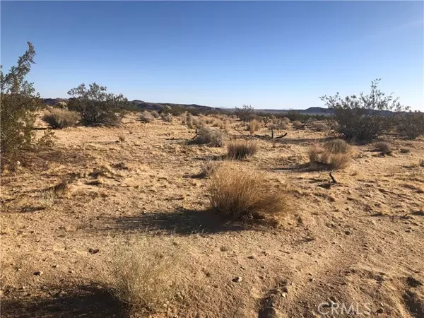 Joshua Tree, CA 92252,5479 Arizona