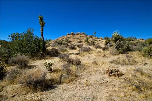 Yucca Valley, CA 92284,0 Brisbane