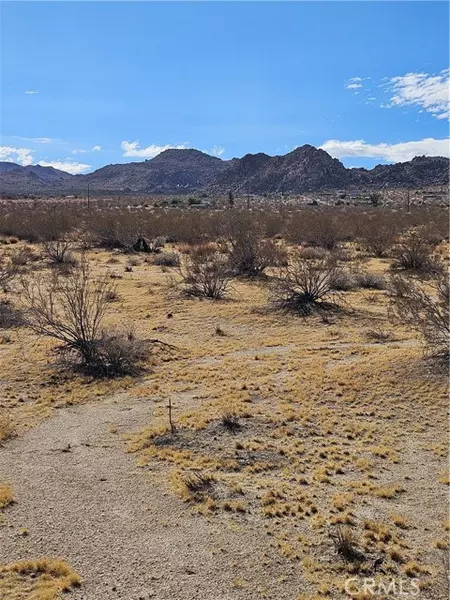 0 Twentynine Palms, Joshua Tree, CA 92252